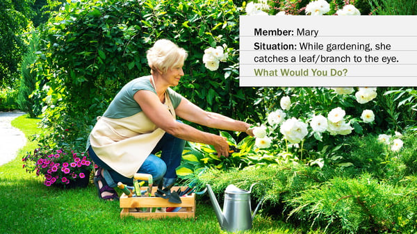 Webinar_MHPA_EYE_prez_slide-image